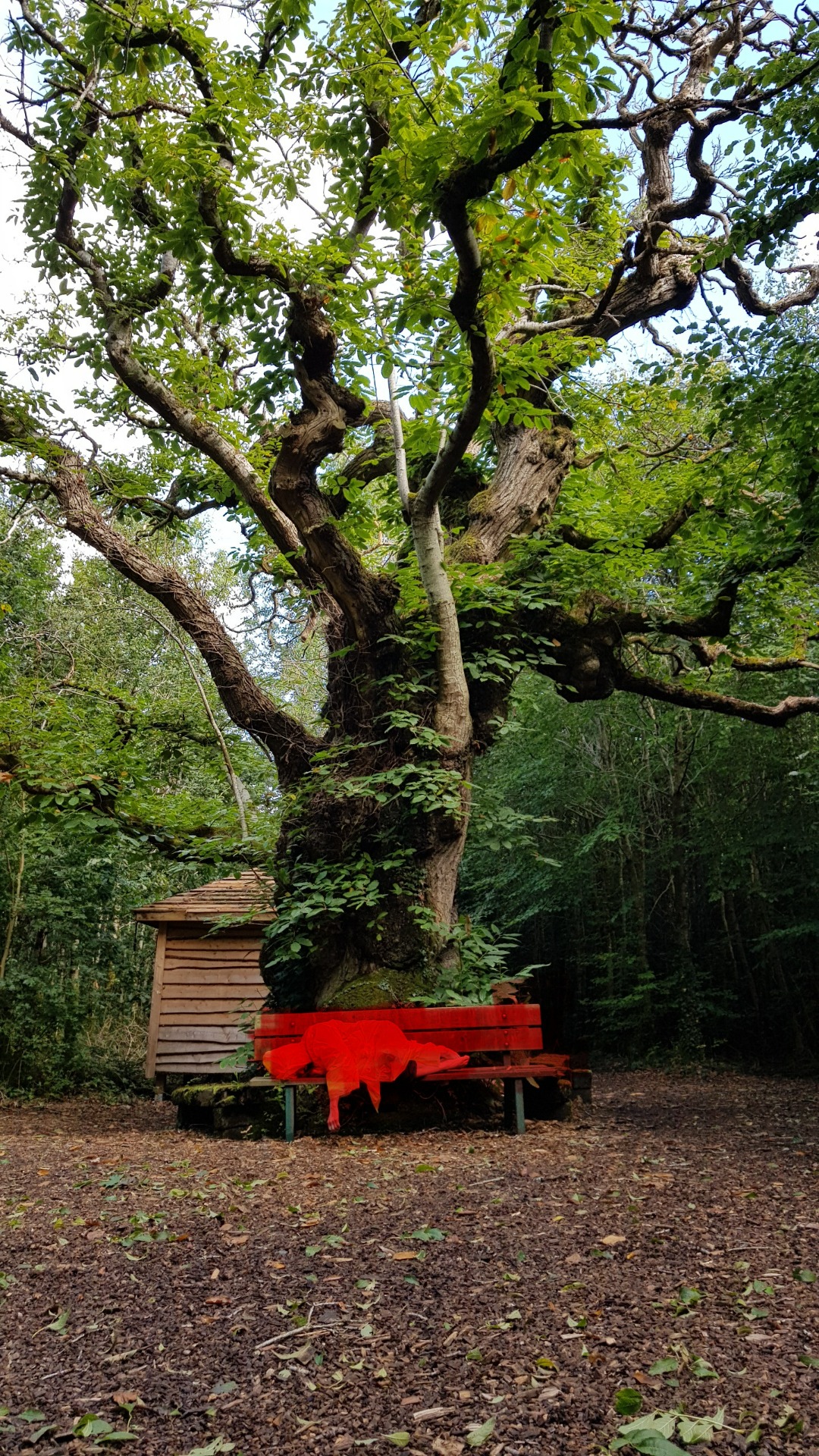 PUNAINEN/Kasperi Nordman