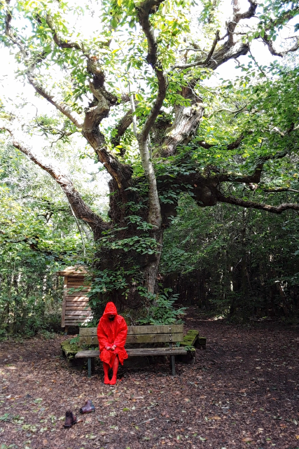 PUNAINEN/Kasperi Nordman